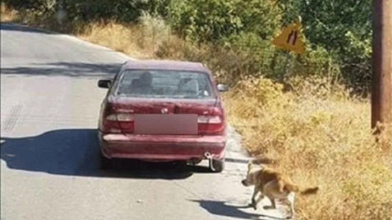 Î‘Ï€Î¿Ï„Î­Î»ÎµÏƒÎ¼Î± ÎµÎ¹ÎºÏŒÎ½Î±Ï‚ Î³Î¹Î± ÎšÏÎ®Ï„Î·: Î— Î¬Î»Î»Î· Î¼Î±Ï„Î¹Î¬ ÏƒÏ„Î·Î½ Î¹ÏƒÏ„Î¿ÏÎ¯Î± Ï„Î¿Ï… ÏƒÎºÏÎ»Î¿Ï… Ï€Î¿Ï… Î´Î­Î¸Î·ÎºÎµ ÏƒÏ„Î¿ Î±Ï…Ï„Î¿ÎºÎ¯Î½Î·Ï„Î¿