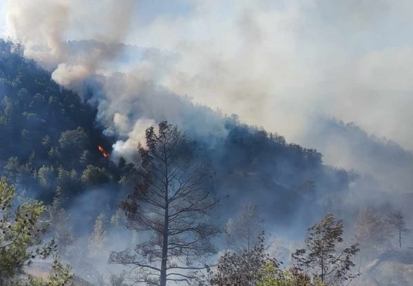 Φλέγεται πάλι η Κύπρος – Συνολικά 24 πυρκαγιές σε μία ημέρα