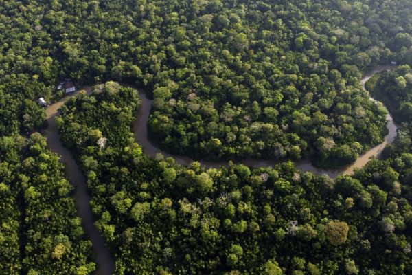 Κολομβία: Μειώθηκε κατά 36% η αποψίλωση δασικών εκτάσεων το 2023