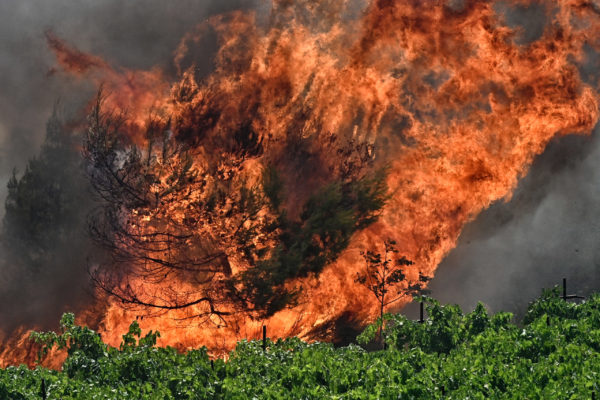 Πολύ υψηλός κίνδυνος πυρκαγιάς σήμερα σε Έβρο και Ροδόπη