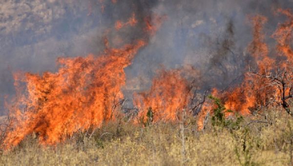 Πυρκαγιά σε χαμηλή βλάστηση στη Μαραθέα Αργολίδος – Κινητοποιήθηκαν και εναέρια μέσα