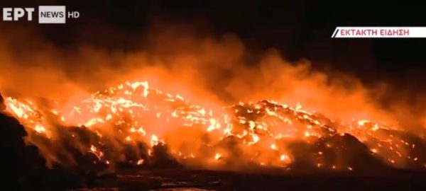 Θεσσαλονίκη: Σε εξέλιξη μεγάλη πυρκαγιά σε εταιρεία με ανακυκλώσιμα υλικά στη ΒΙΠΕ Σίνδου