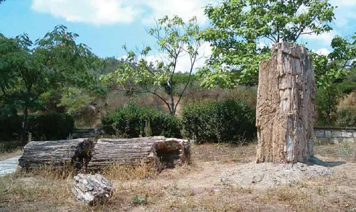 Σουφλί: Δημιουργία Γεωπάρκου στο Απολιθωμένο Δάσος Φυλακτού