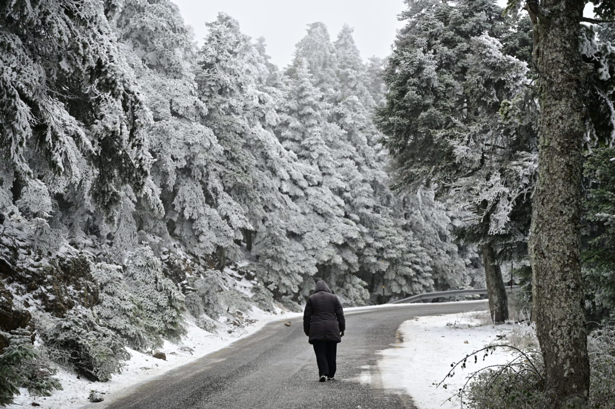 Αποκαταστάθηκε η κυκλοφορία στην λεωφόρο Πάρνηθας – 111 κλήσεις δέχθηκε η Πυροσβεστική στην Αττική