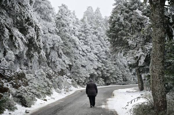 Αποκαταστάθηκε η κυκλοφορία στην λεωφόρο Πάρνηθας – 111 κλήσεις δέχθηκε η Πυροσβεστική στην Αττική