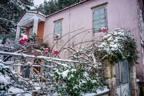 Κακοκαιρία Coral: Μέχρι και τη Δευτέρα το έντονο κύμα ψύχους – Τα νέα στοιχεία της ΕΜΥ, οδηγίες από την Πολιτική Προστασία